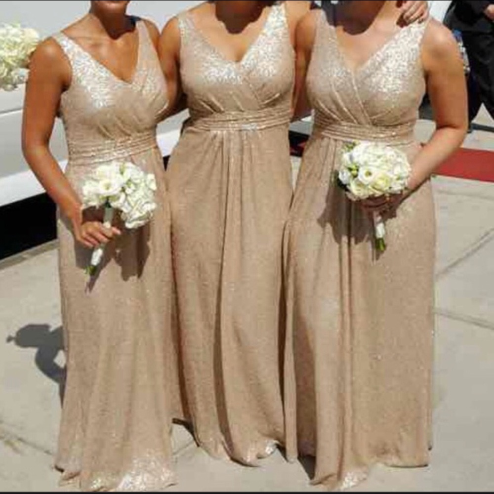 Sorella Vita ROSE GOLD Sequin Dress